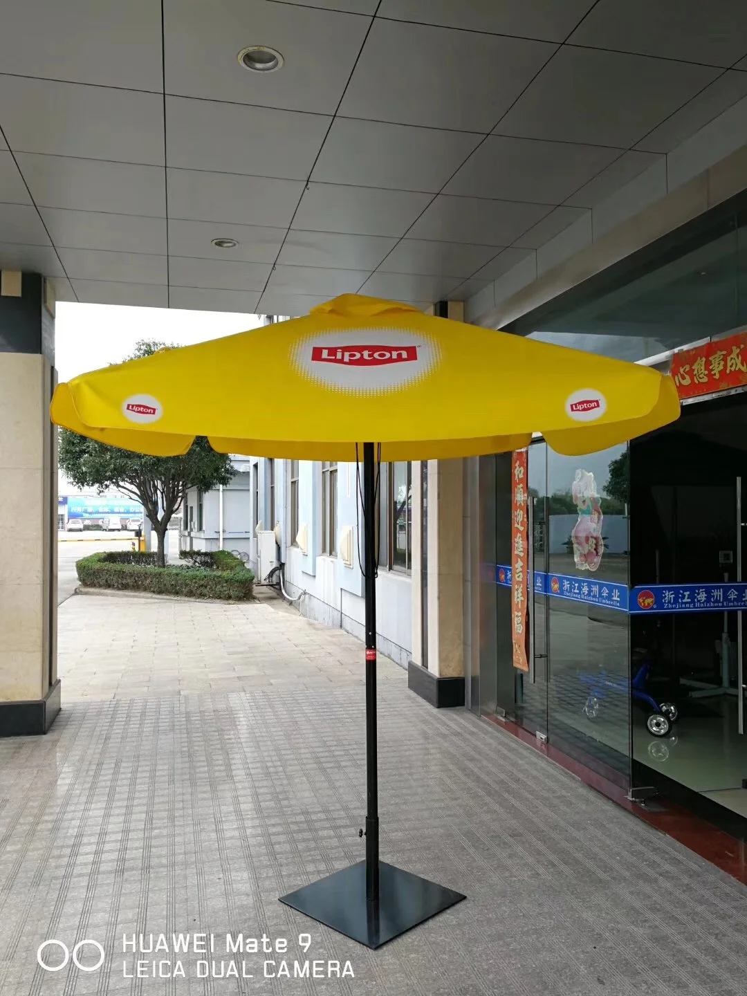 IMG_9951(20181115-200655) (2).JPG