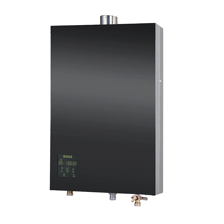 hot sale instant lpg gas hot water heater 20L