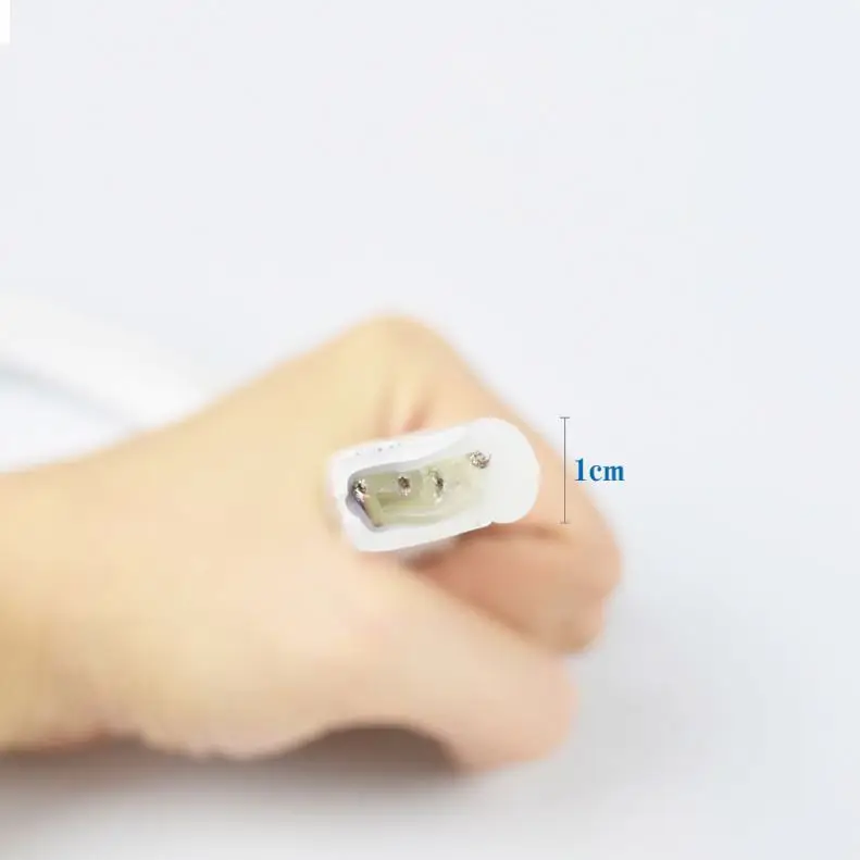 New Arrival 2811 Neon Led Strip 5M Roll Aplp 5 Meter