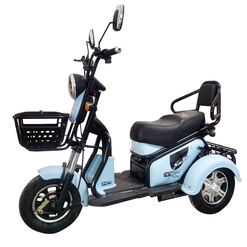 Small and exquisite city etrike electric tricycle for 2 people with 2 storage basket