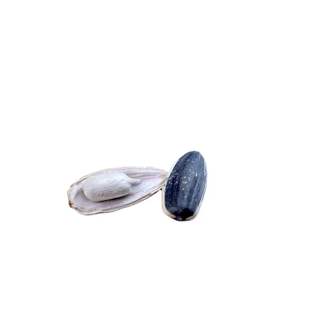 Raw Material Processing Sunflower Seeds Sunflower Seeds Wholesale White Sunflower Seeds For Food Process
