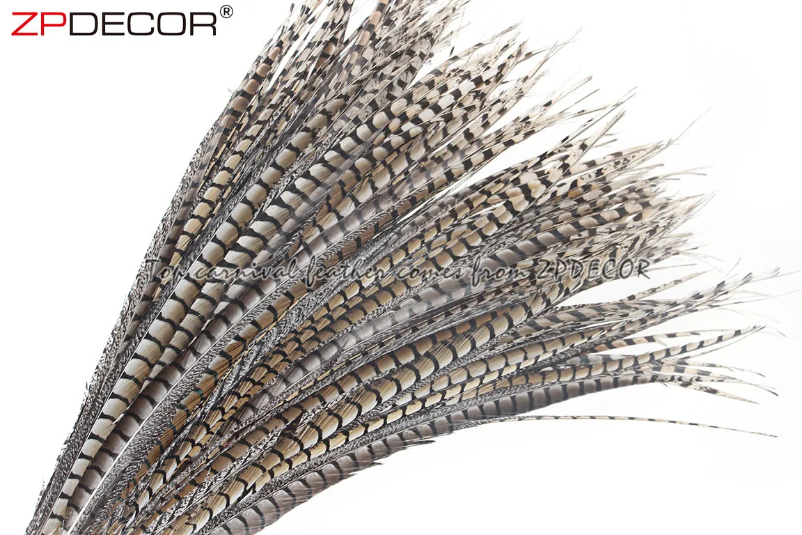 ZPDECOR Factory Wholesale Size 70-80 cm Natural Lady Amherst Pheasant Feather for Brazilian Carnival Decorations