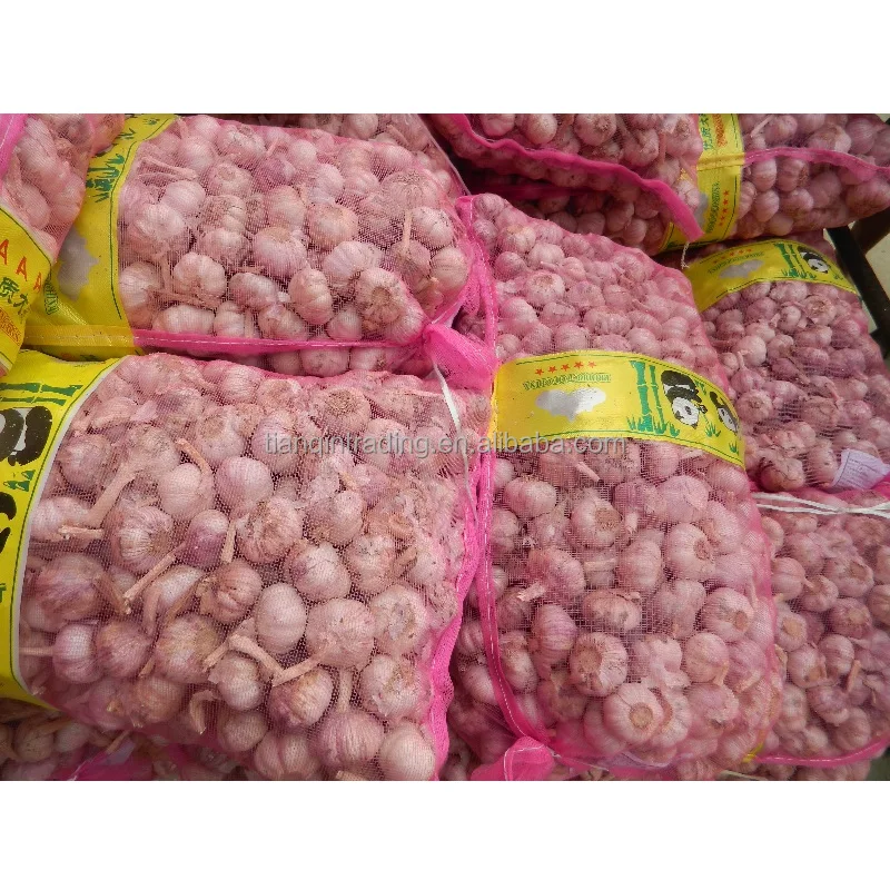 Китайский чесночный завод, китайский производитель чеснока предлагает очень конкурентоспособную оптовую цену