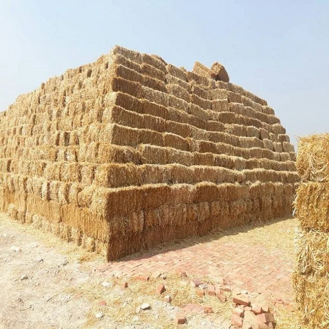 Тюки для сена из пшеничной соломы на продажу