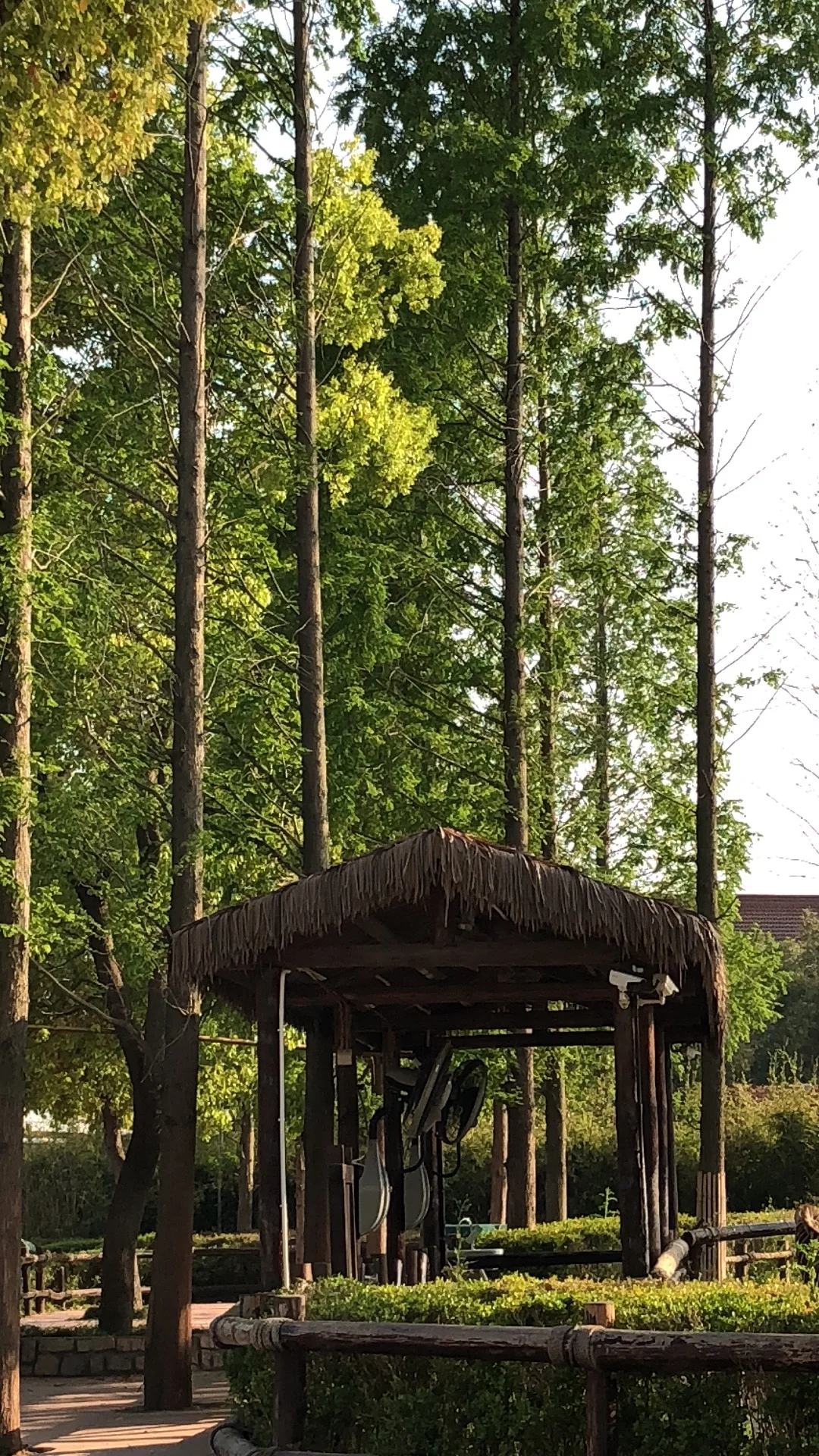 Оптовая продажа, переработанные пластиковые зонты, Hdpe palпа, кровельные плитки, солома