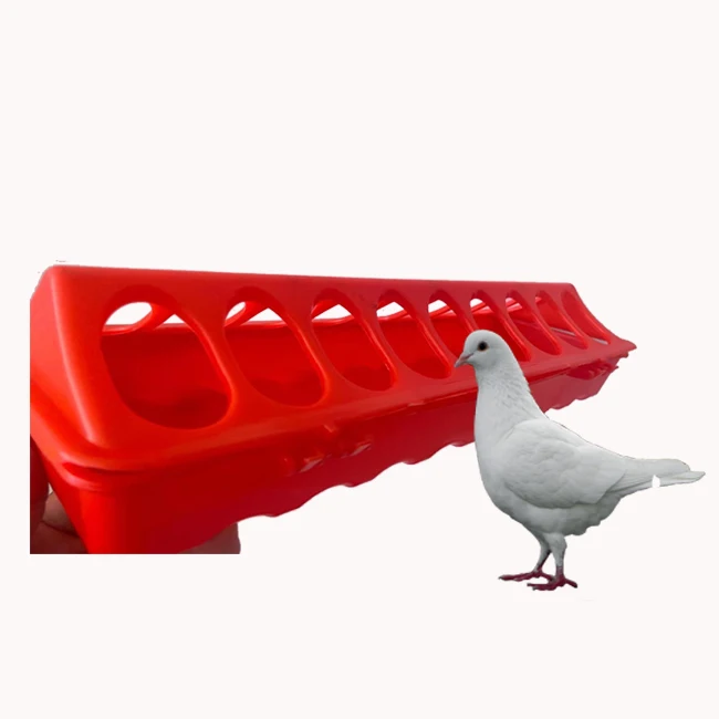 High quality birds feeder 20cm 30cm 40cm 50cm plastic long feeder for chicken pigeon food feeder