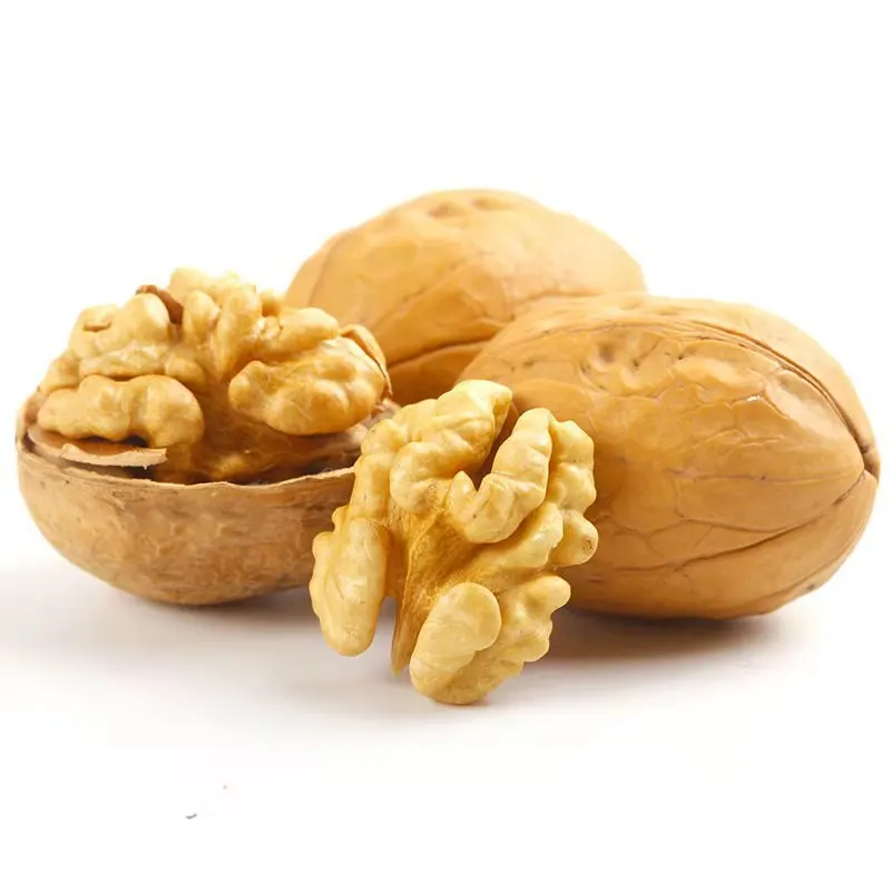 Walnuts with thin skin 185 new paper shell walnuts with cheap price and excellent quality from Xinjiang China