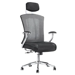strong metal decoration  and high quality Comfort Seating Luxury Ergonomic mesh executive office manager chair