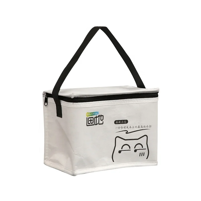 Accept customized logo new cool carry packing insulated food delivery non woven insulated lunch thermal cooler bag
