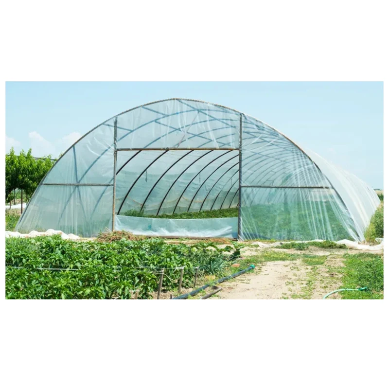Export Single-span Greenhouse For Vegetables Low Cost  Greenhouse Frame