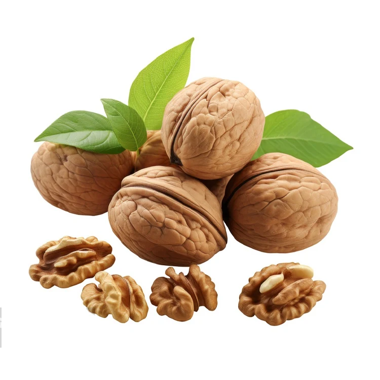 Supplier Wholesale Bulk High Quality Tasty Snack Dried Thin-skinned Walnuts In Shell