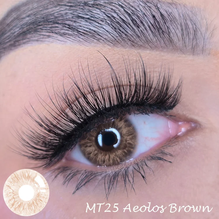 MT25 Aeolos Brown.png