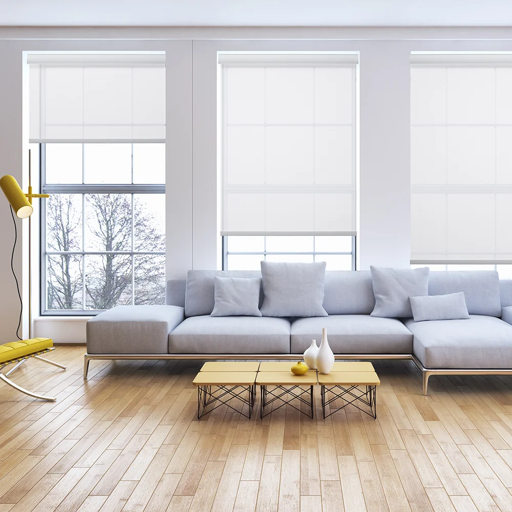 Electric Motorized Roller Blinds Shades Transparent Light Filtering Upper and Lower Home Decor Modern Luxury Space Plain Gifts