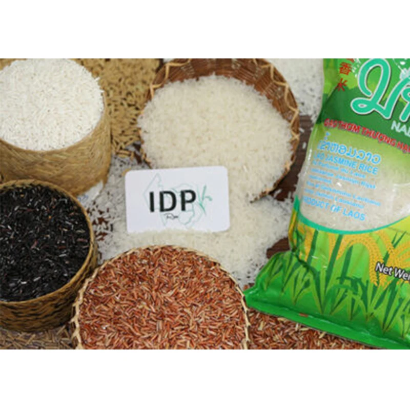 Organic Jasmine Rice high-quality natural low-price nutritious protein-rich organic jasmine rice