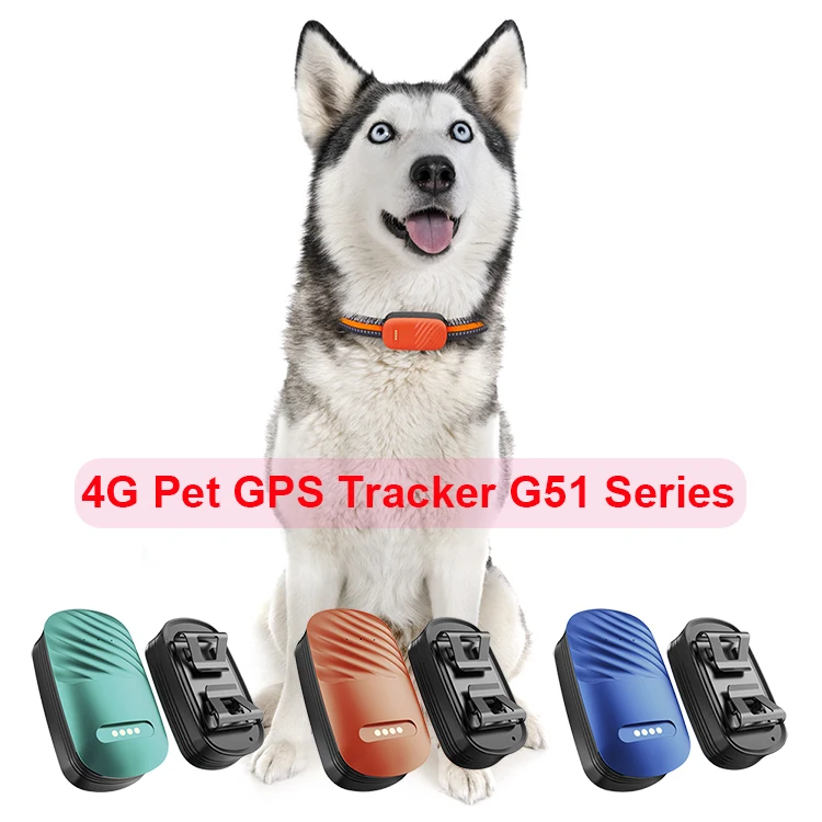G51 ad 750.jpg