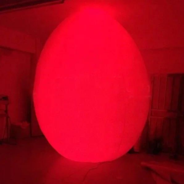 egg