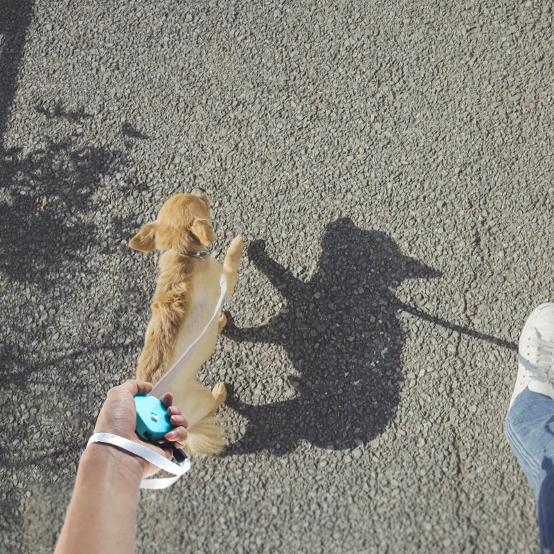 
Amazon hot sale Mini pet traction rope for pet Rabbit Squirrel Hamster Guinea Pig Guinea Pig cat walking leash 