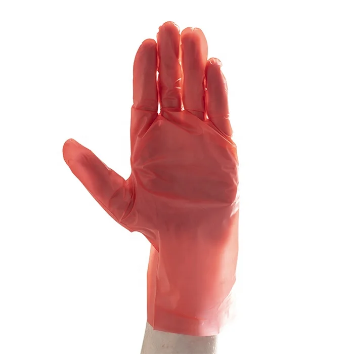 
New Arrival Disposable Tpe Plastic Gloves 