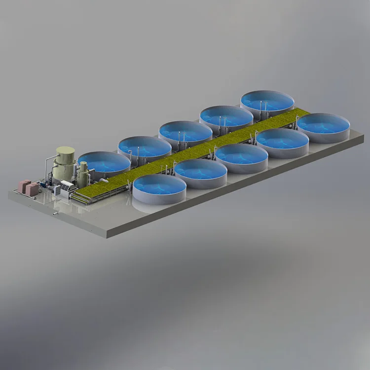 Customized Recirculating Aquaculture Systems Indoor Aquaculture Equipment Fish Farming System Ras In Aquaculture