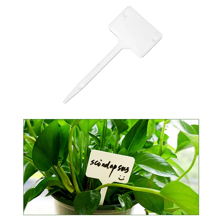 Custom Made Waterproof Plant Name Tag Eco-friendly Garden Plant Label Plastic Gardening Stakes
