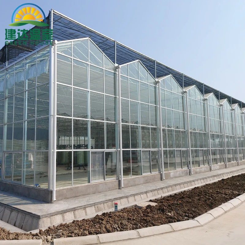 multi-span class Greenhouse restaurant green house frame with Heating and insulation system