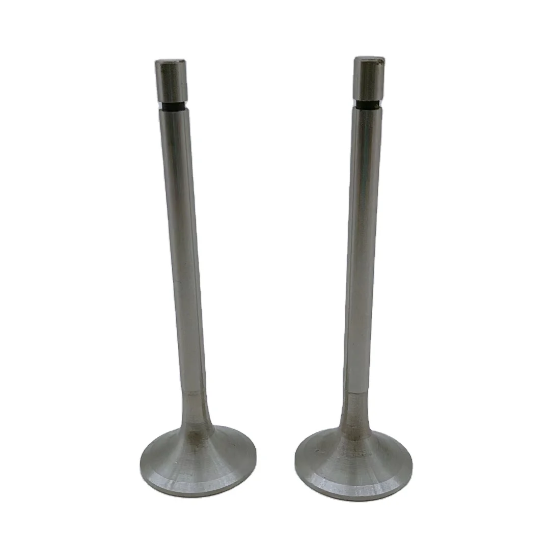 High Quality Engine valve For Lada 2101 Engine 2101-1007010 2101-1007012 Intake Exhaust Valve Auto Parts