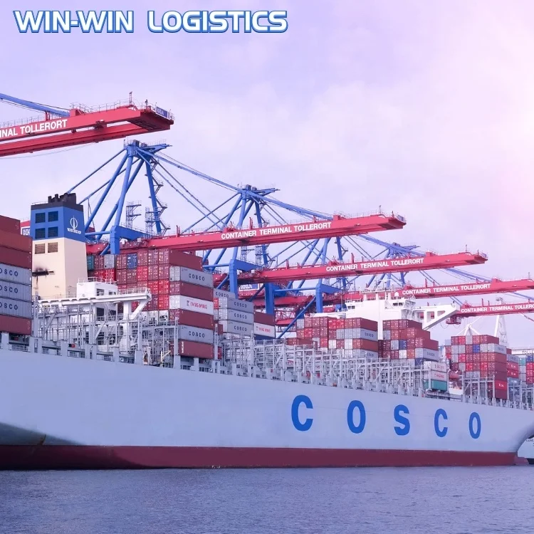 China Best Logistics Supplier Ships to Malaysia Philippines Singapore