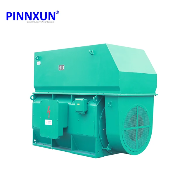 3300v 5500v 6600v medium voltage motor high voltage 1000hp ELECTRIC motor ac induction motor