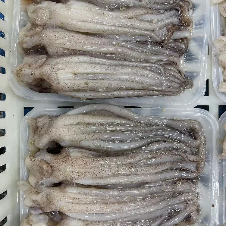 new fresh frozen squid tentacles IQF BQF customizable