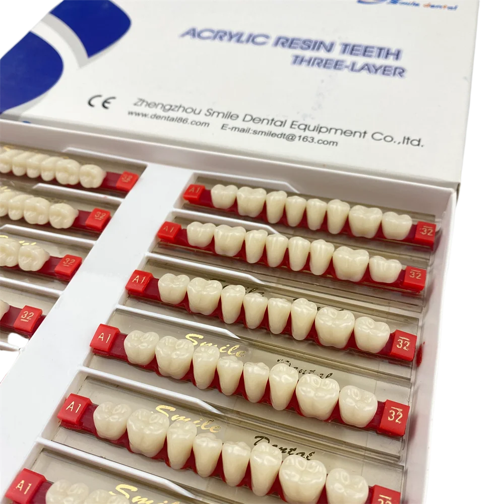 Dental Posteriors Teeth Artificial Acrylic Resin Teeth 3-Layer False Teeth
