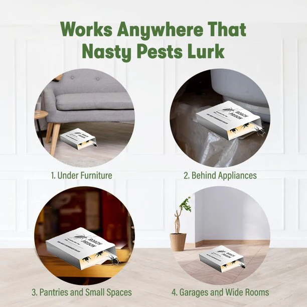 Indoor Home Sticky Roach House Glue Traps Pest Ants Spiders Cockroach Control Killer Cockroach Glue Trap