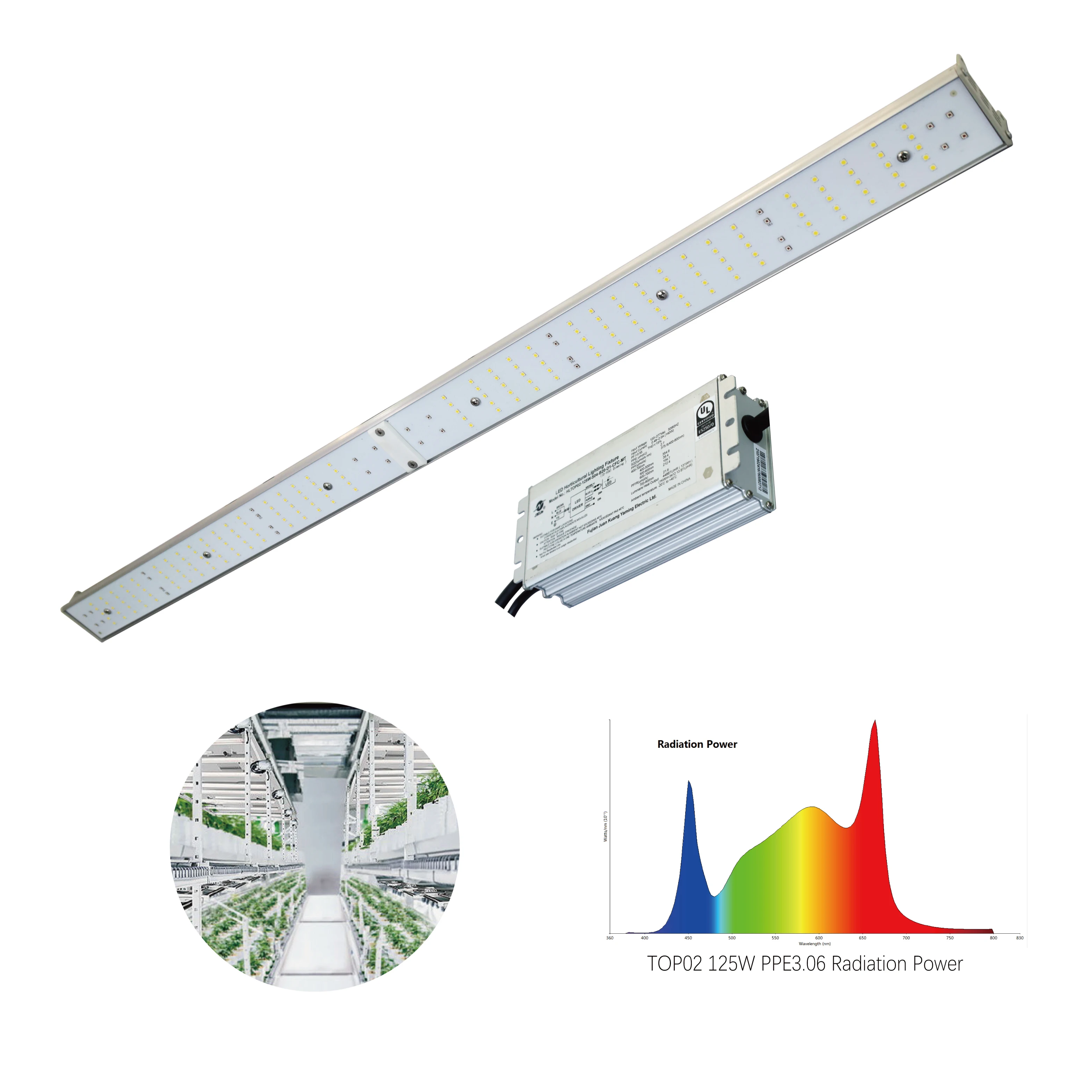 JK Slim Linear Type  Best Commercial Full Spectrum 100w 120w 125w 150w  Led Grow Light 2023