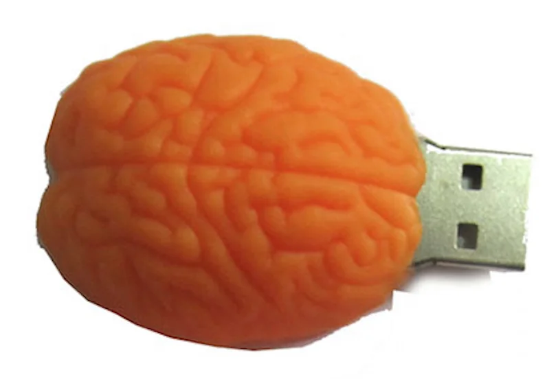 Brain Shaped USB Flash Drive for medical gift