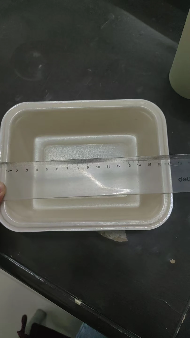 High Quality Modern Design Eco-Friendly  Dinner Plates Rectangle Food Trays