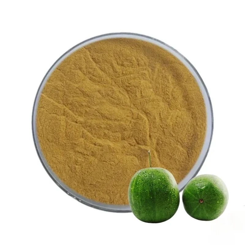 Wholesale Price monk fruit Sweetener organic monk fruit powder 7% mogroside bulk monk fruit powder