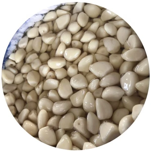 
Professional supply New Arrival healthy garlic distributor for sale 