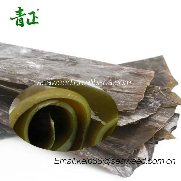 Fresh Organic Natural Algas high grade Laminaria AD Dried Kelp Kombu wakame with rich mannitol