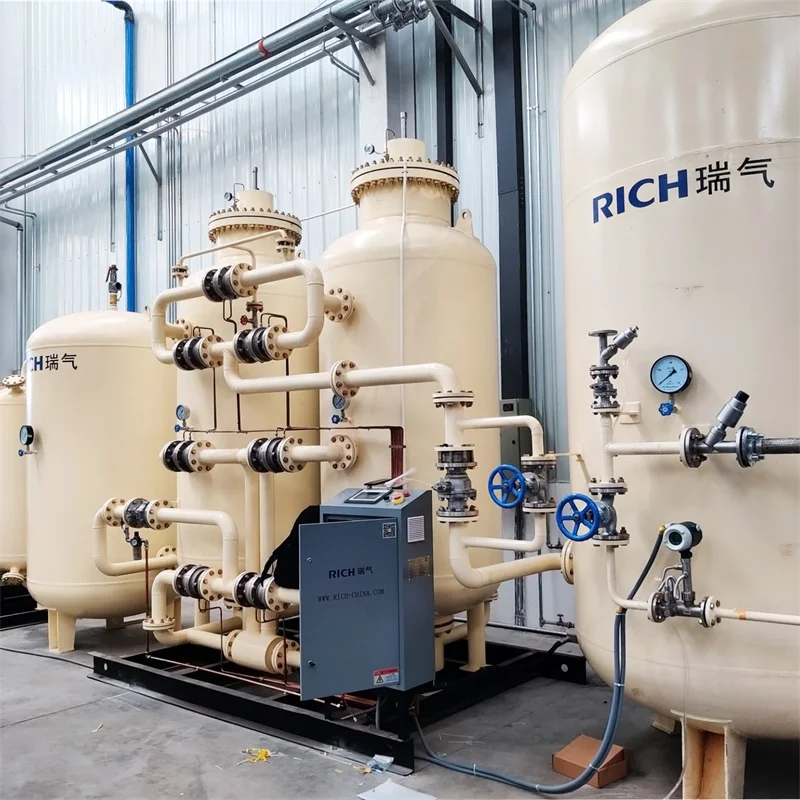 Hot Sale PSA Nitrogen Generator With Best Price CE Approval Purity 9999 Pharmaceutical Nitrogen Generator