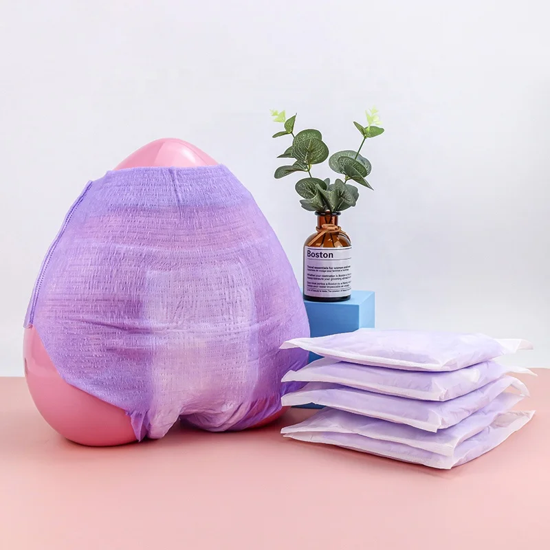 Lady Kitty OEM Disposable Period Panty Heavy Flow Menstrual Panties With Sanitary Pad For