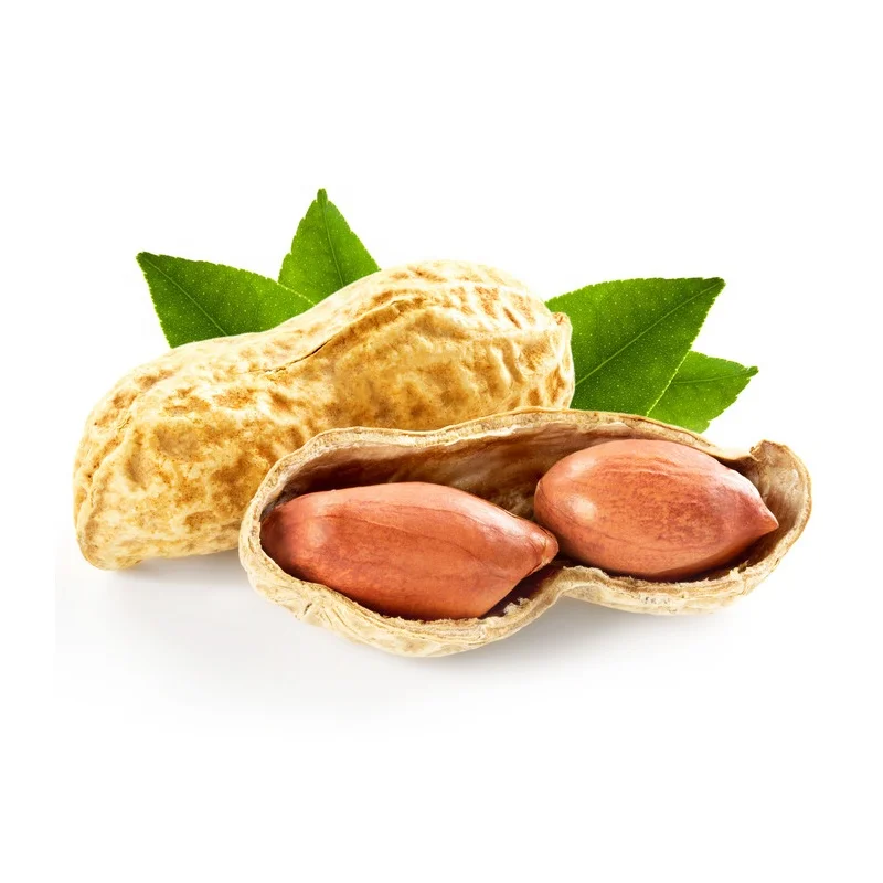 
Factory Supply High Quality Peanut in Peanut Shell And Kernel Price With Best Prices 