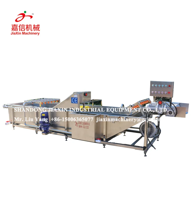 
304 stainless steel small fruits and vegetable washing sorting machine 