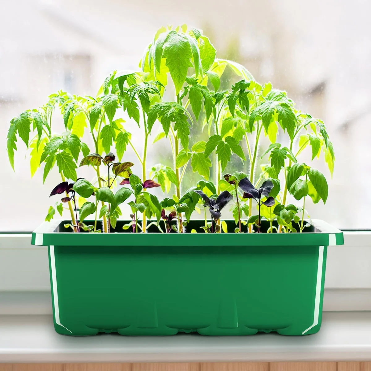 12 Cells Seedling Starter Tray Germination Grow Box with Humidity Dome Seed Starting Trays Plant Starter Kit and Base