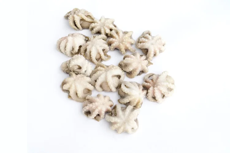 Factory wholesale little octopus nutritious vitamins frozen octopus