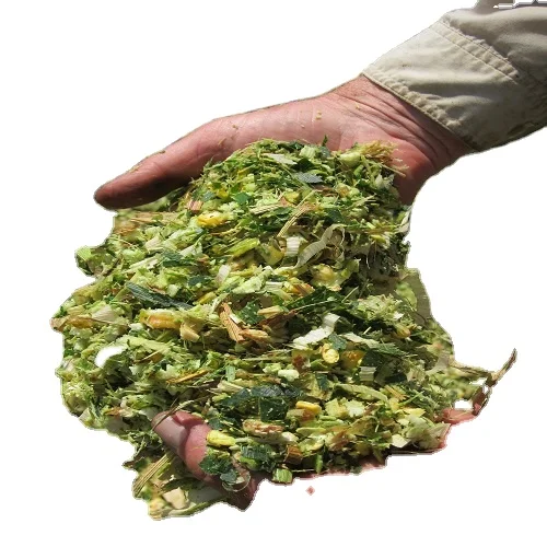 corn silage for sale corn silage from turkey vietnam corn silage