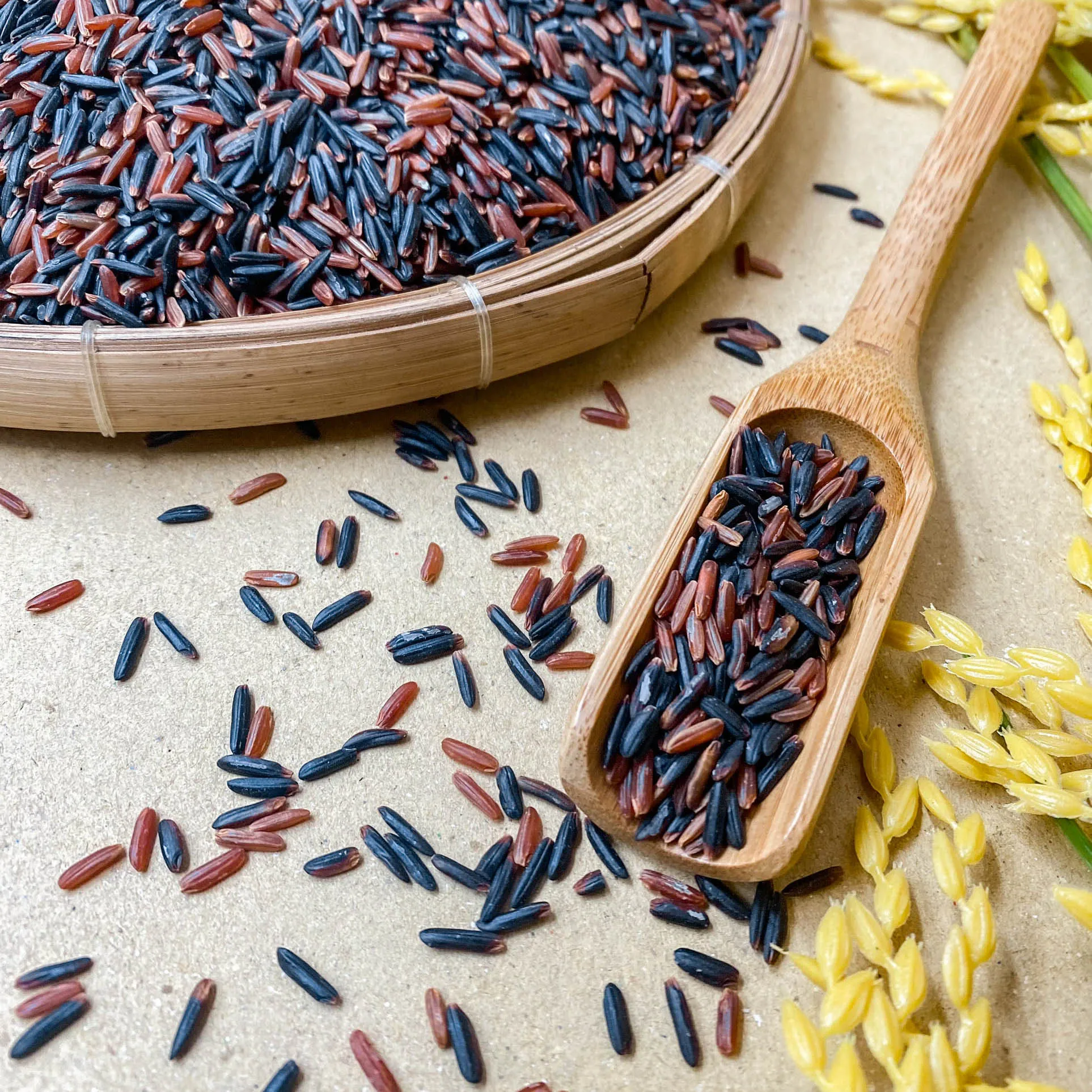 Vietnam Producing Red Brown Hoa Lua Rice Gao Lut BROWN Rice Kind Hard Texture Crop Year Long-Grain Rice