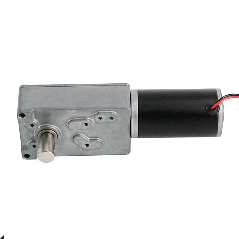 DSD 70mm 12V 24V DC Worm Gear Motor for Exhaust Smoke Window
