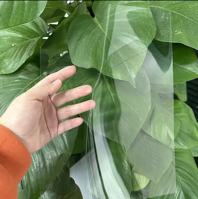 High quality  500mic Transparent Plastic sheet 100% Biodegradable PLA Sheet  Fprofessioningy Outlet Industry