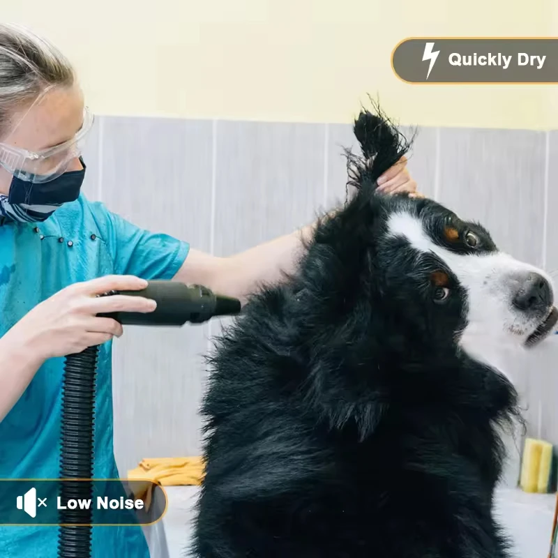 High Power Pet Hair Dryer Dog Grooming Dryer Heating Adjustable Speed Nozzles Pet Dog Hair Dryer Machine