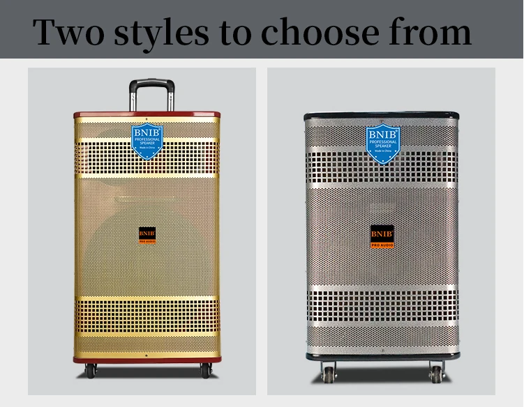 2022 New Products ODM Party Speaker Dancing Woofer Speaker With Mic Outdoor Speaker Display Wholesale