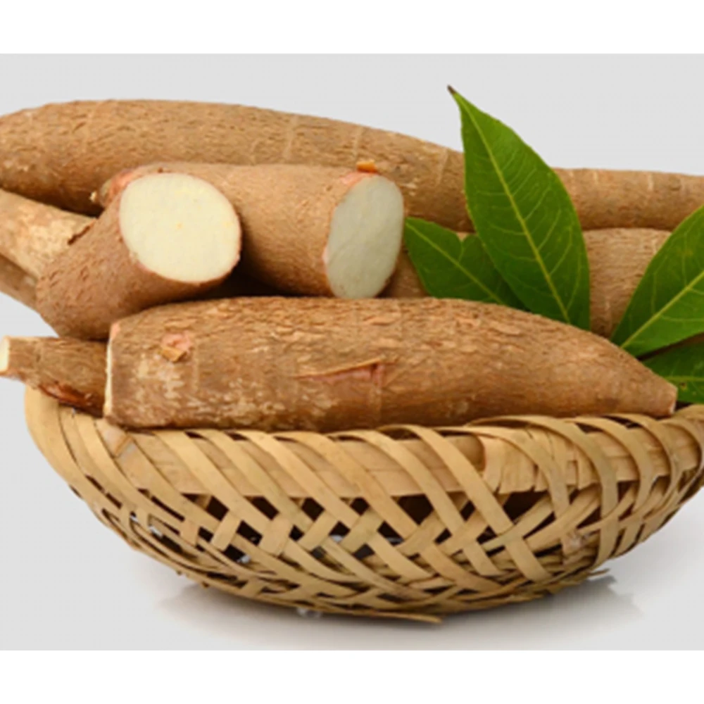 Raw dry Cassava from Vietnam Newly harvest Dried CassavaQuickly respond and Fast logistic services/cassava chip